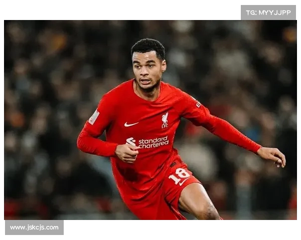 英超射手榜最新动态：热门球员表现分析及未来竞争走势预测